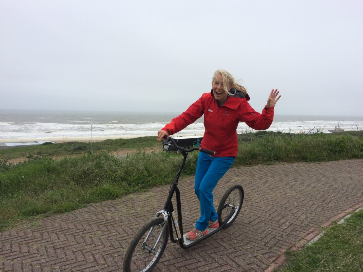 Steppen Expert in Actie